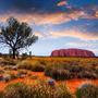 Uluru im Uluru-Kata Tjuta Nationalpark